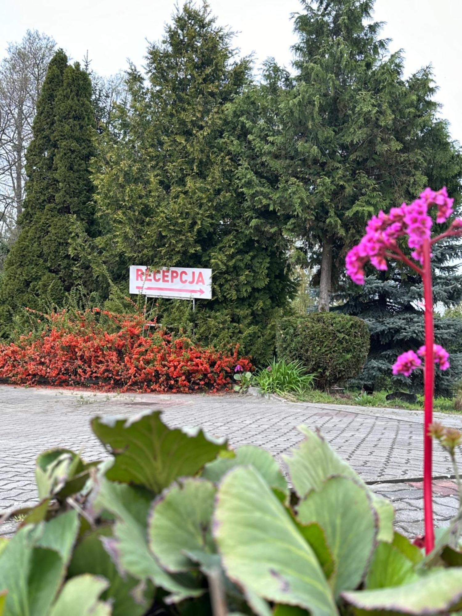 Karat Panzió Malbork Kültér fotó
